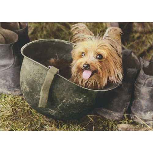 Yorkie Army Rations Avanti - Smoky The War Dog Blank Card – Kitchen Store & More
