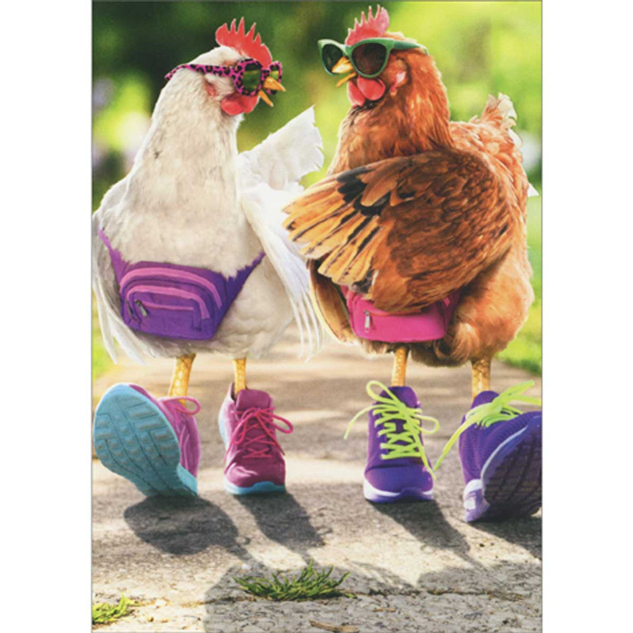 front of card is two roosters with sneakers fanny packs and sunglasses on walking down a sidewalk