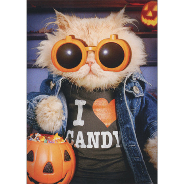 front of card is a cat wearing pumpkin sunglasses, a black i heart candy t-shirt and a denim jacket holding a pumpkin bucket full of candy