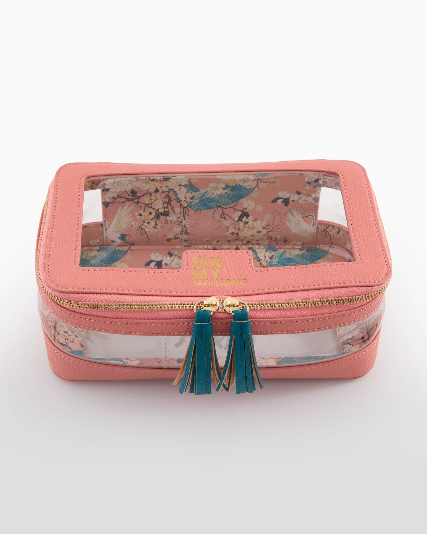 coral mt storage case closed