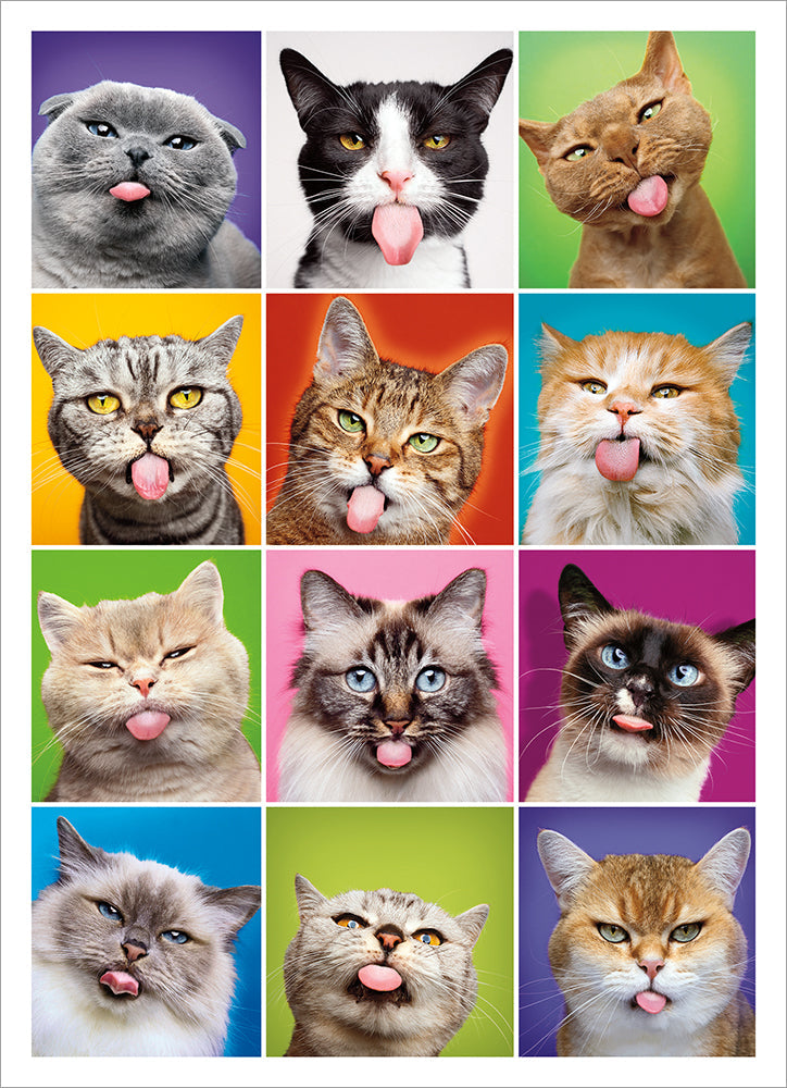 front of card is twelve squares with different cat faces sticking out their tongues