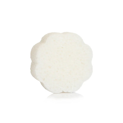 spongelle sponge without its packaging shown on a white background