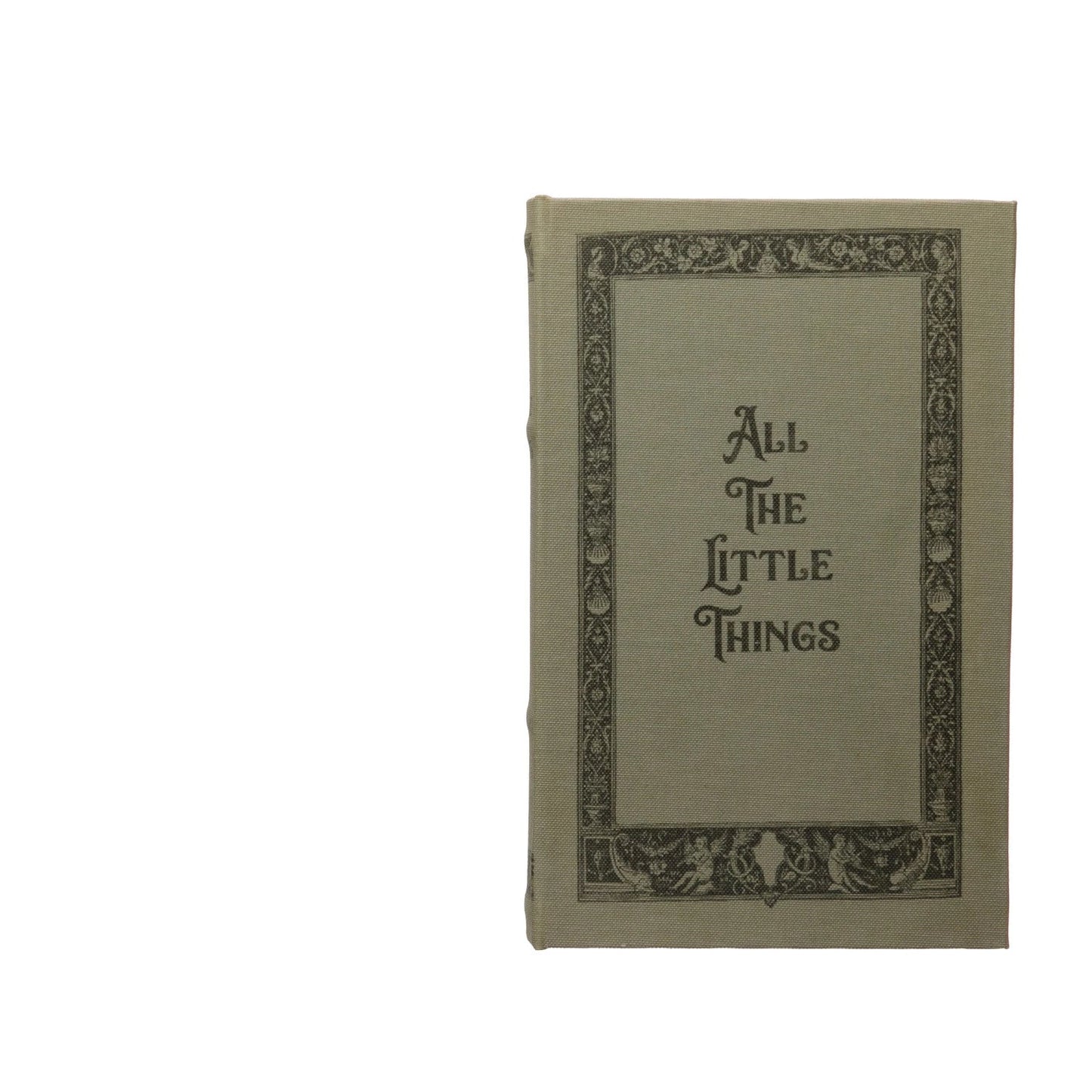 cover of large book box with title 'all the little things' and a scrolling boarder