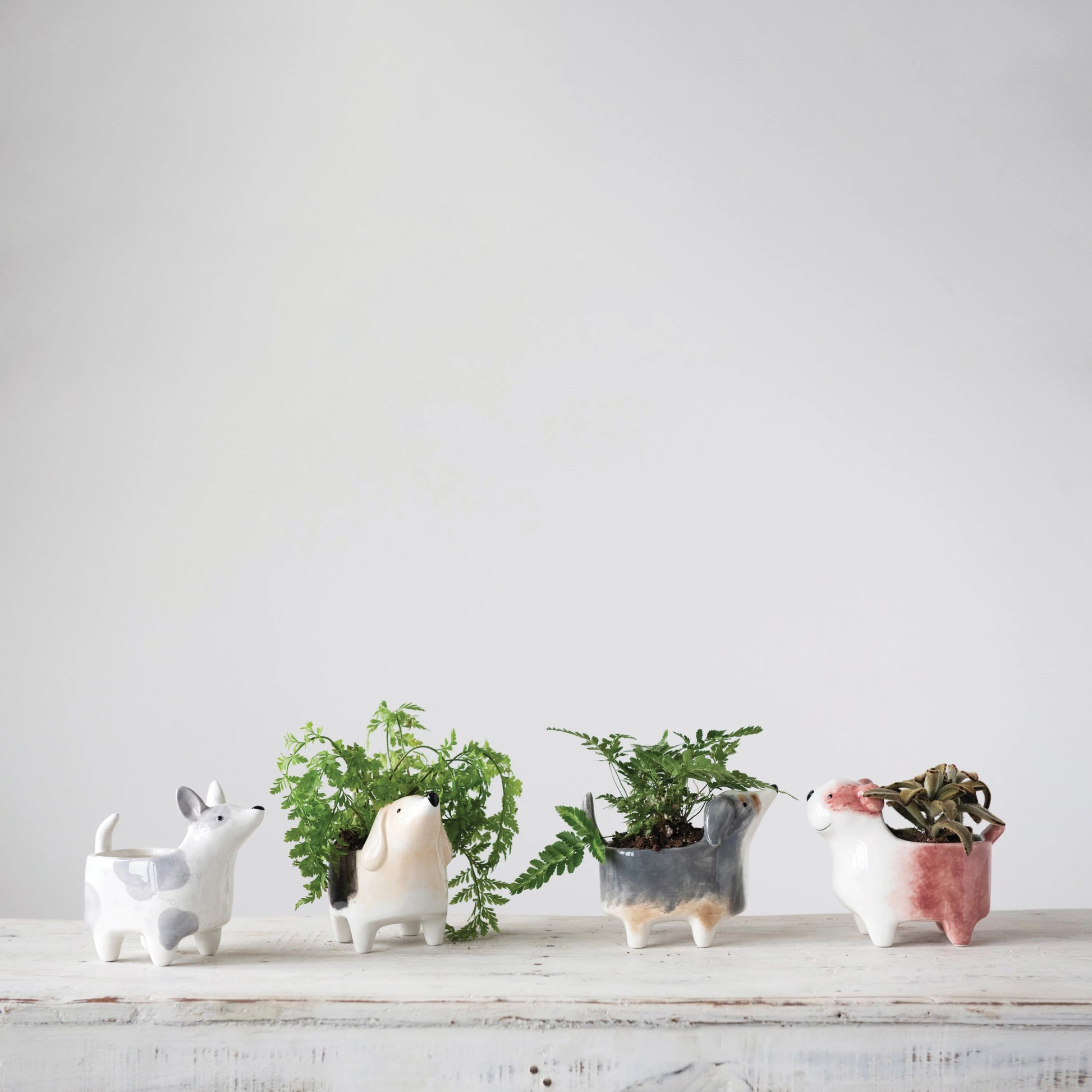 4 styles of dog planters, 3 have plantes in them, in a row on a white wooden table.