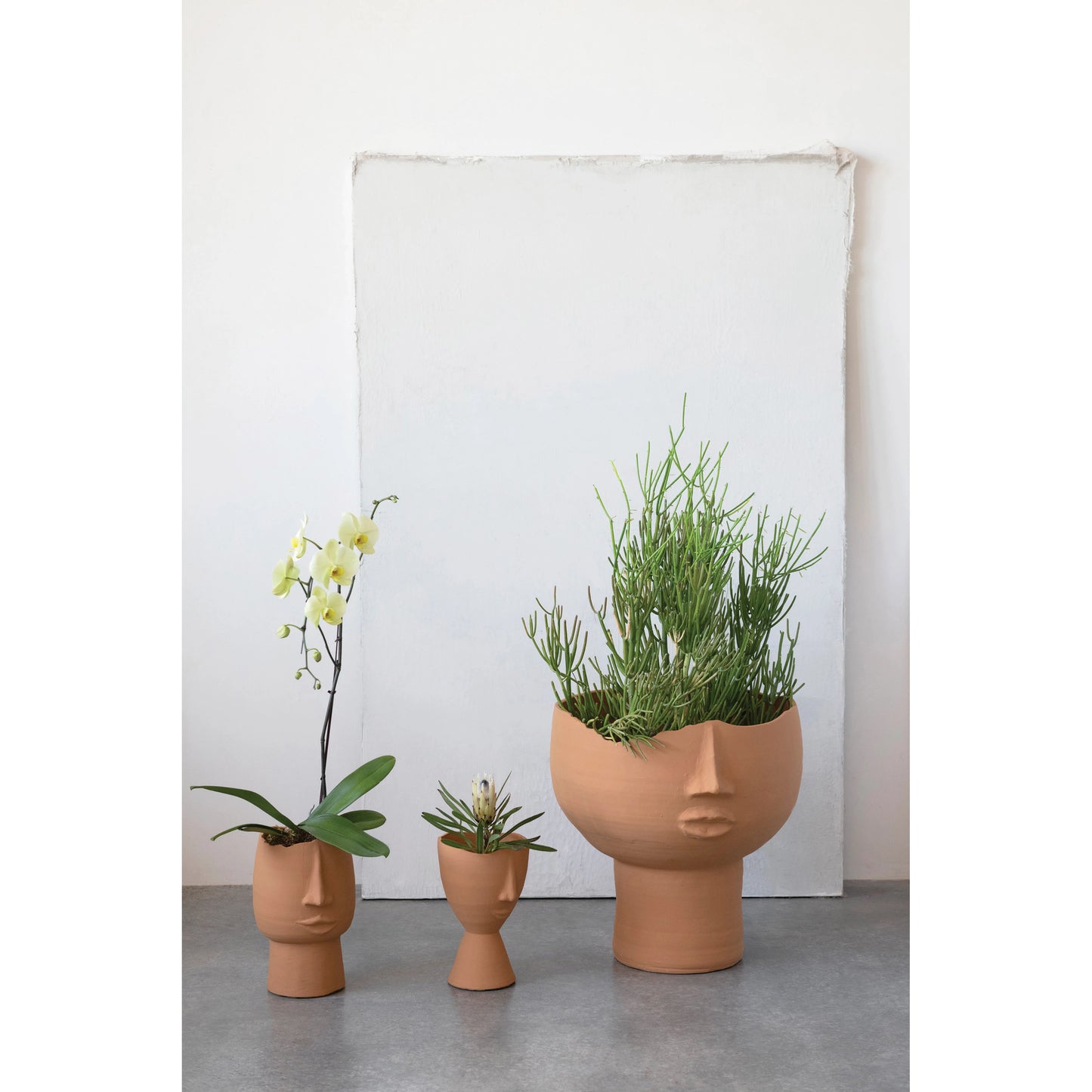 both styles of terracotta planters with faces displayed with flowers and succulents against a white wall and a very large terracotta face planter.