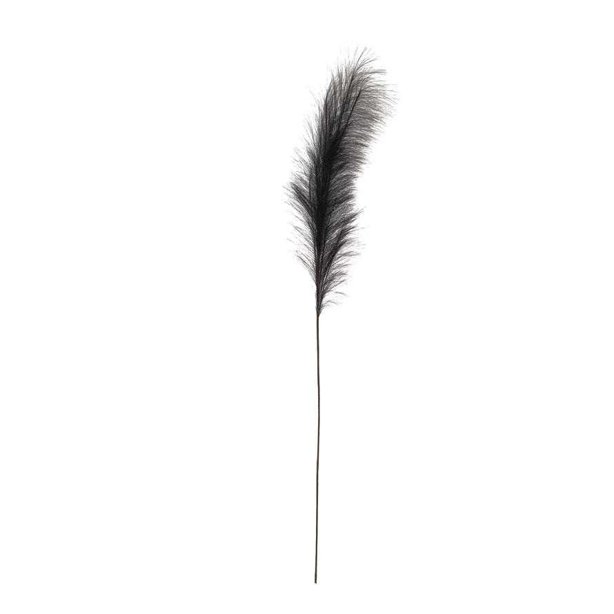 midnight pampas grass plume on a white background