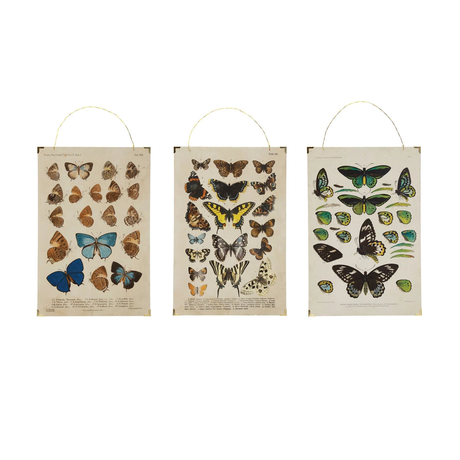 all three styles of vintage reproduction butterflies and paper wall decor displayed against a white background
