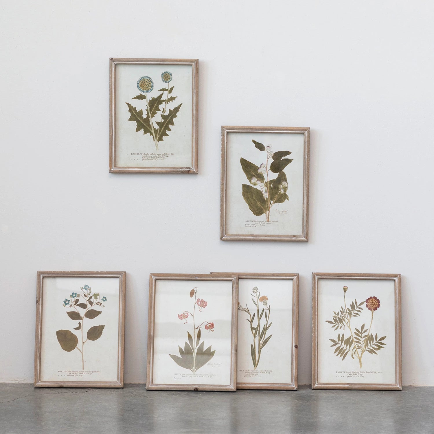 all six styles of floral art, 2 hanging on a white wall, 4 on the floor leaning against the wall.