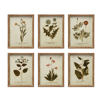 all six styles of botanical wood framed glass wall decor displayed against a white background