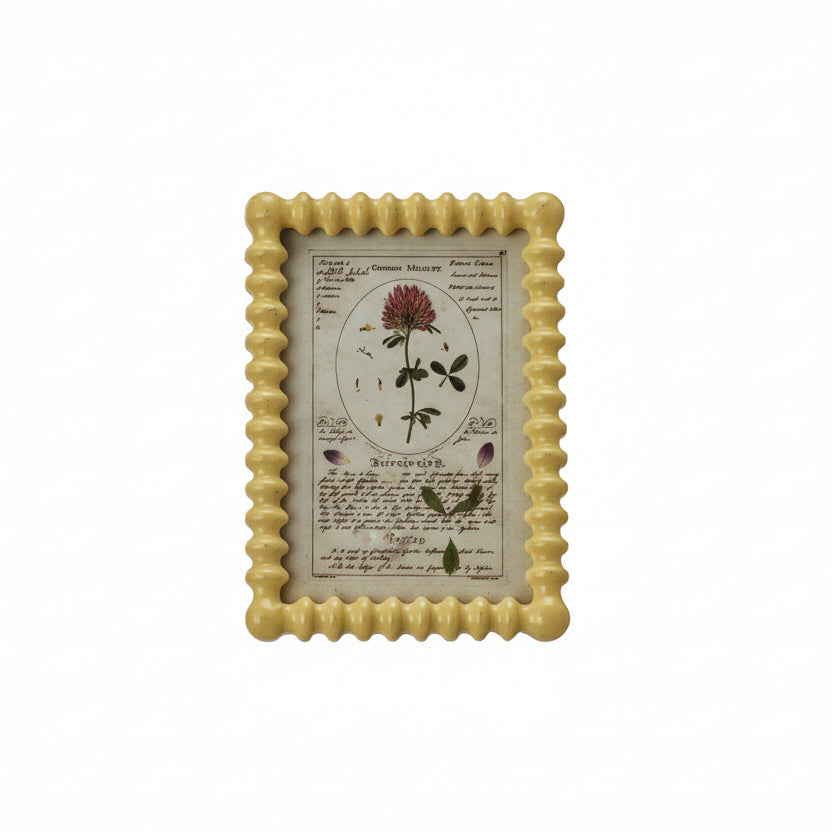 yellow  spindle frame with image in a botanical study and text in it