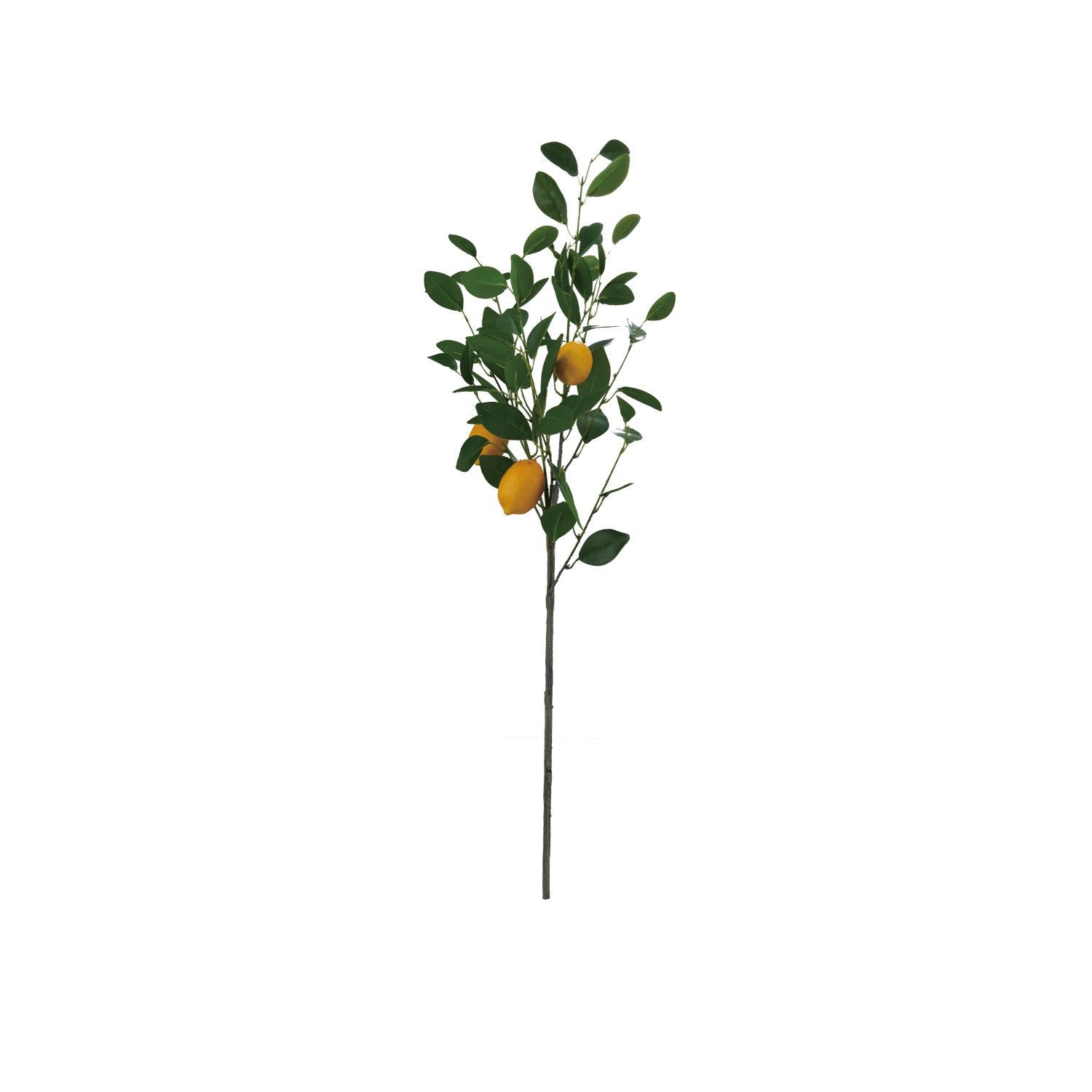Faux Lemon Tree Branch shown on a white background