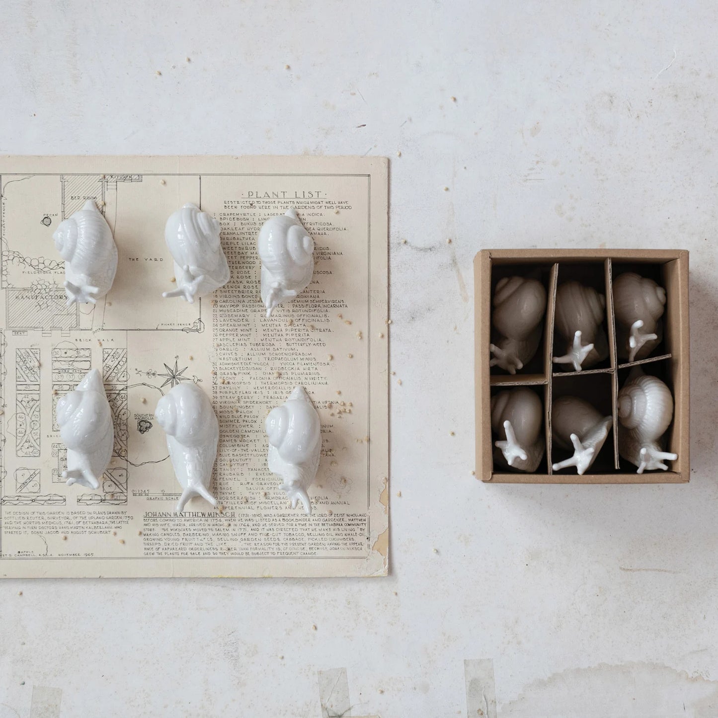 6 assorted white ceramic snails arranged on a printed piece of paper with a boxed set of snails set next to it