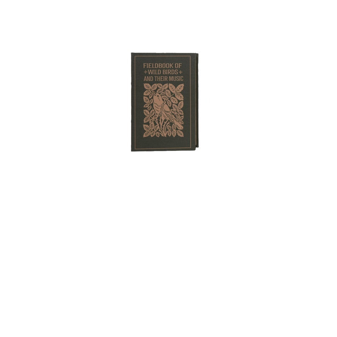 large dark brown book box with title 'fieldbook of wild bird and their music' with image of a bird and leaves on it