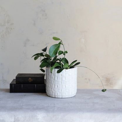 woven pattern planter with plant in it in a decorated setting