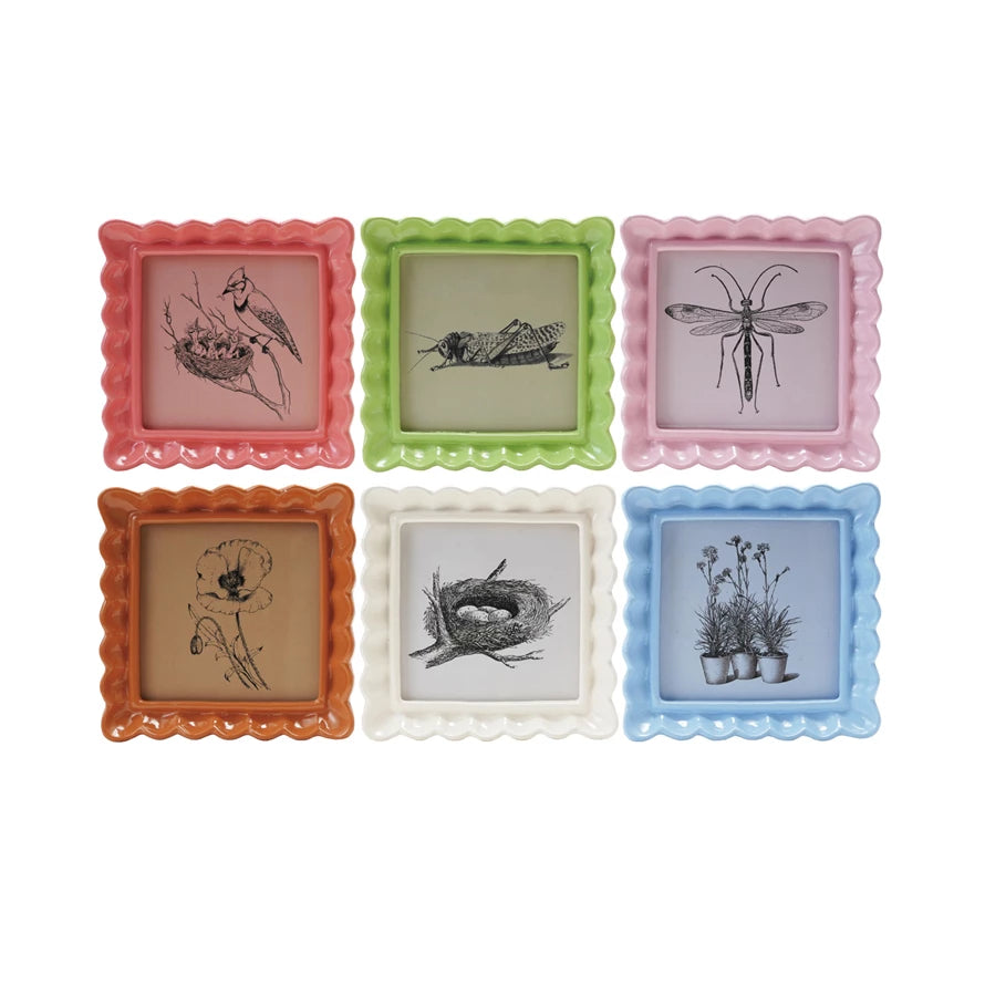 6 photo frames of various colors holding pictures of nature