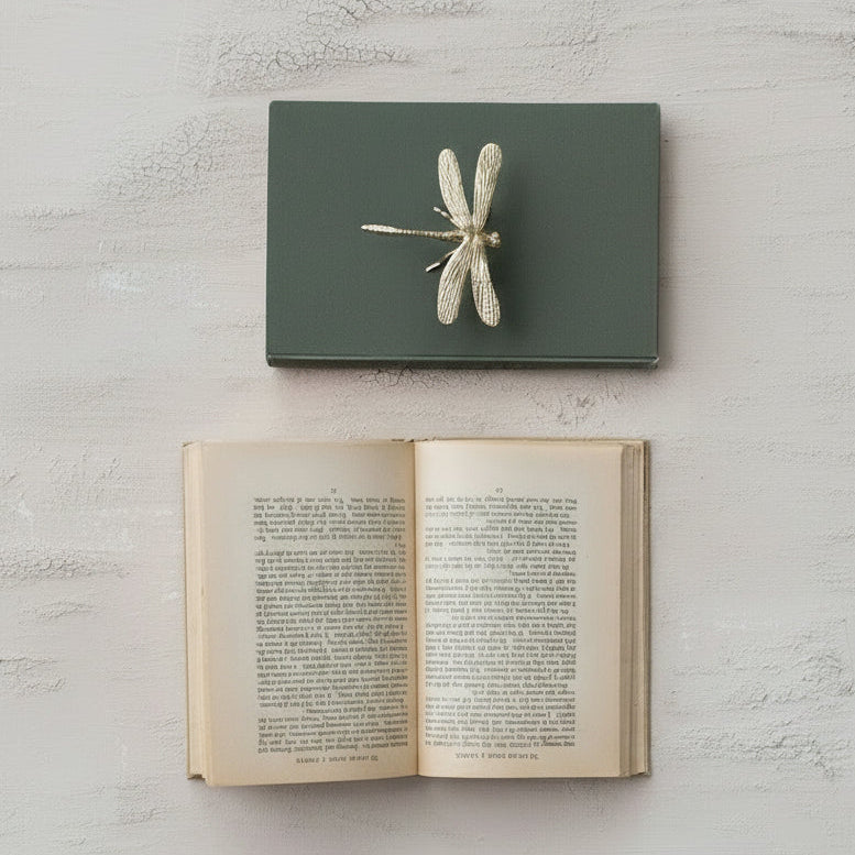 dragonfly sitter on a closed book above an open book