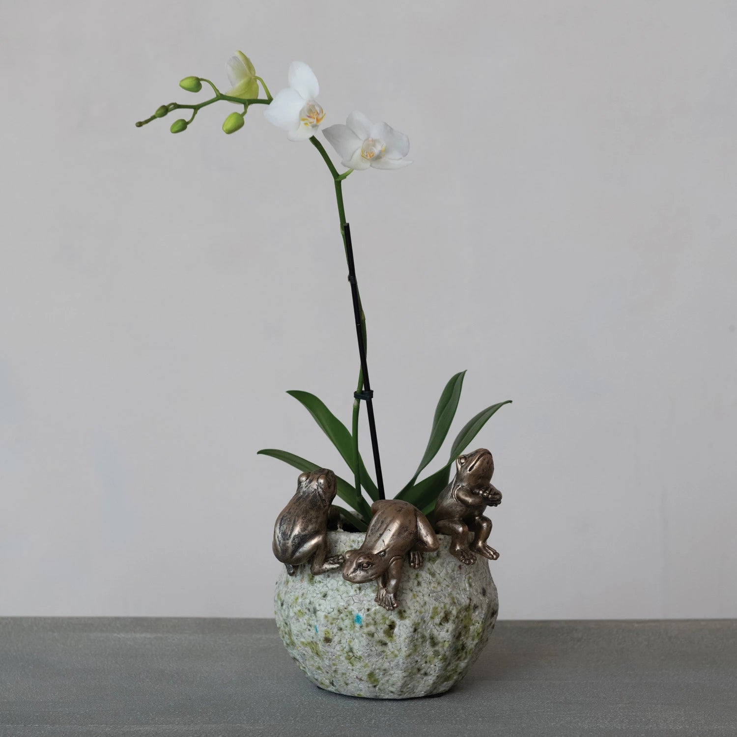 Decorative vase with three frog figurines hanging on it with a white orchid in it set on a gray surface.