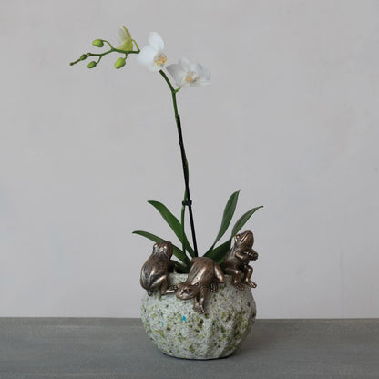 Decorative vase with three frog figurines hanging on it with a white orchid in it set on a gray surface.
