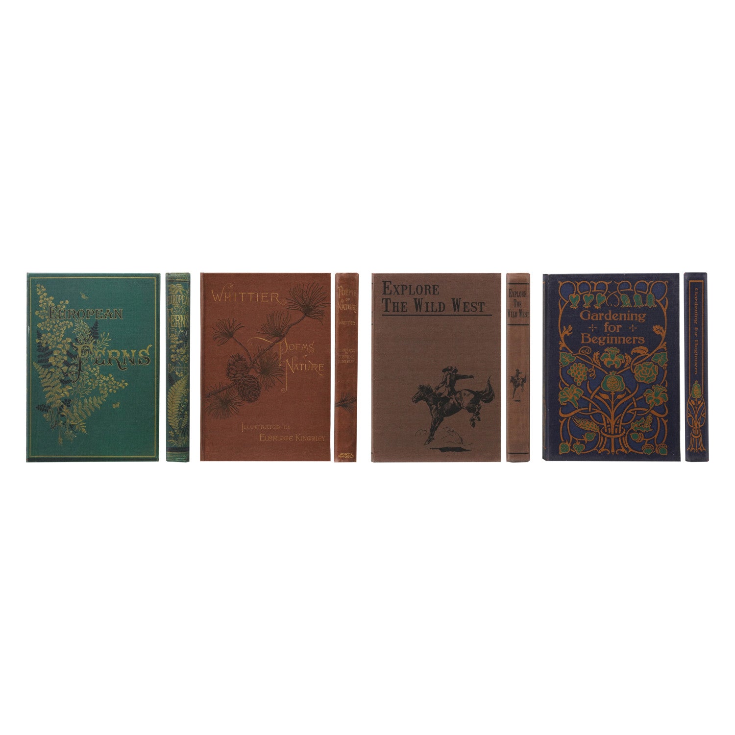 six vintage-style books with decorative covers on a white background