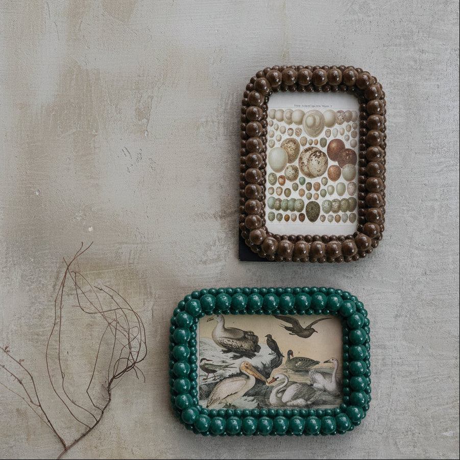 2 picture frames shown on a beige plaster surface. one is brown with image of assorted birds eggs in it, the other is deep teal with image of sea birds in it