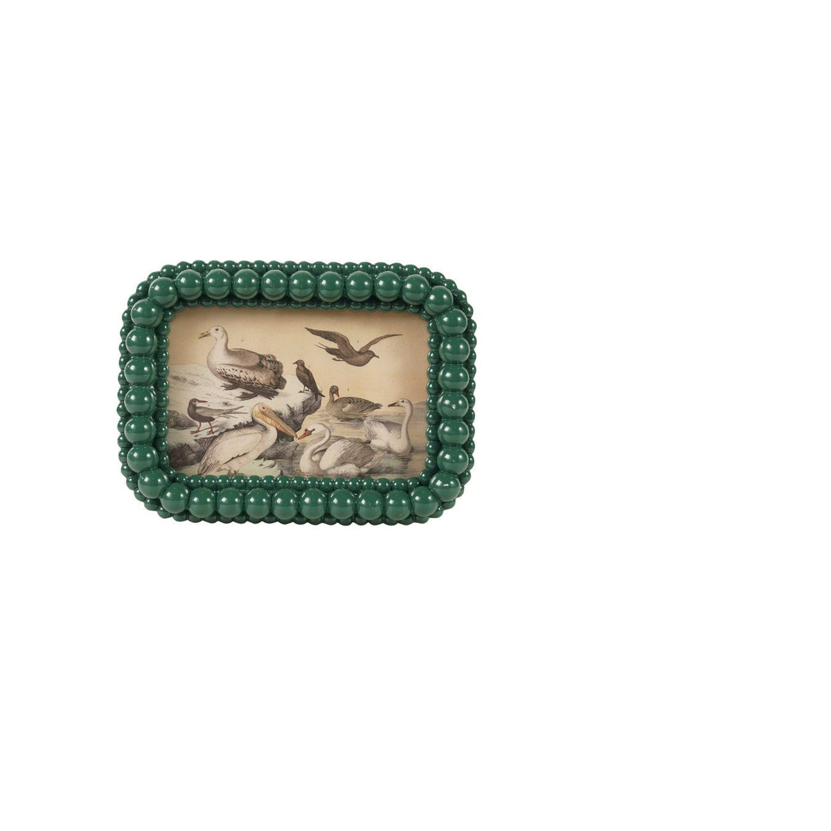 decorative beaded teal frame with image of assorted seas birds in it
