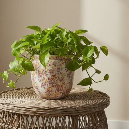 A green pothos plant in a terracotta pot with a vintage floral pattern, displayed on a round woven rattan table against a neutral beige wall.