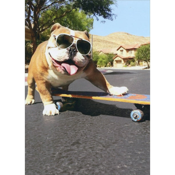front is a bulldog with sunglasses with one paw on a skateboard on the street in front of a house