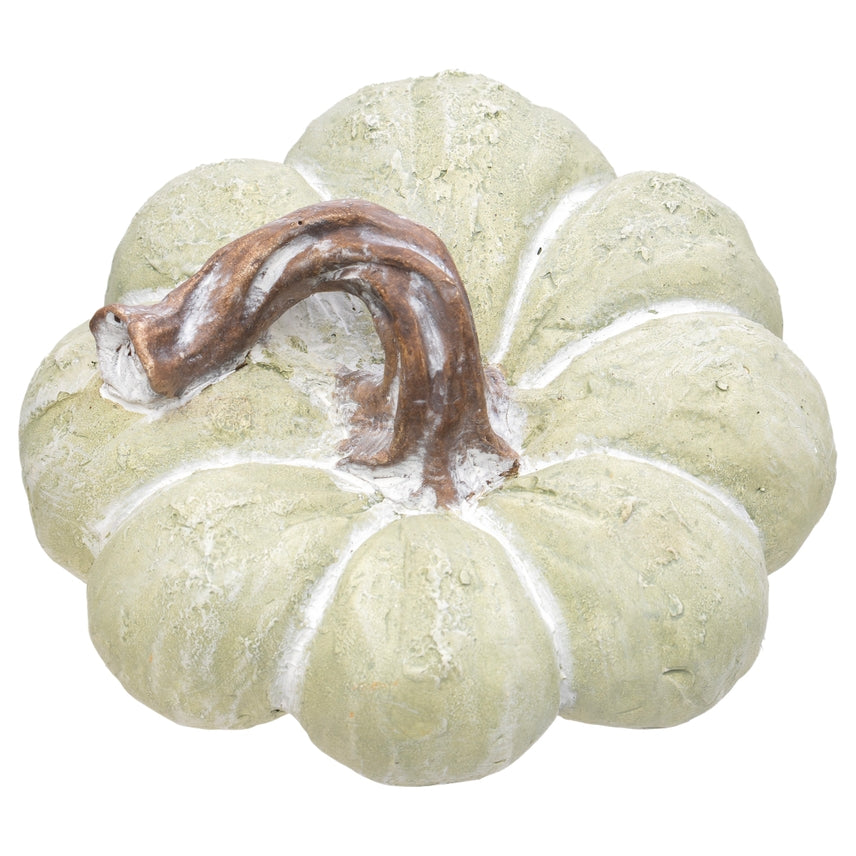  Chalky Green Squat Pumpkin with brown stem shown on a white background