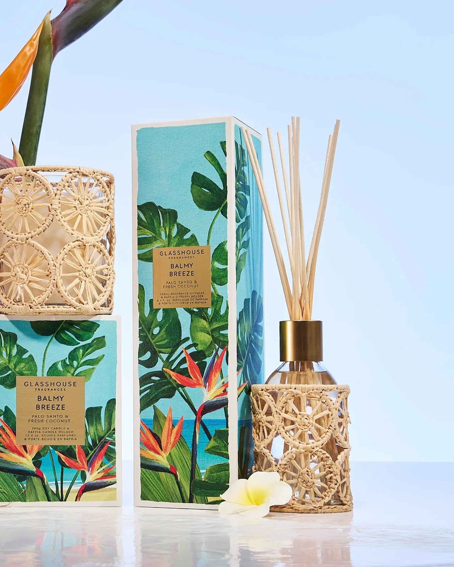 Reed diffuser set with decorative packaging featuring tropical plants on a light blue background.