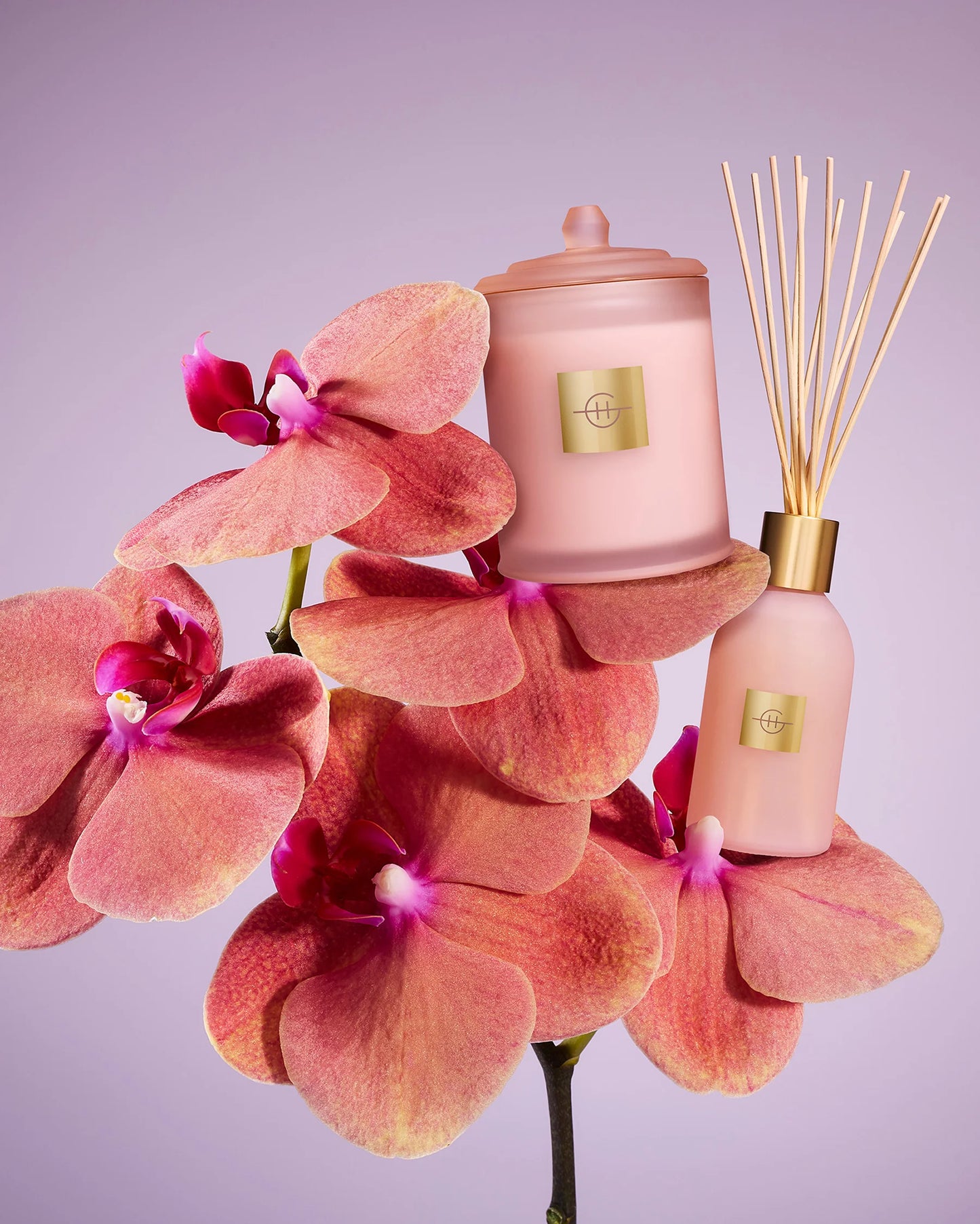 radiance in bloom candle and diffuser sitting on a flower stem