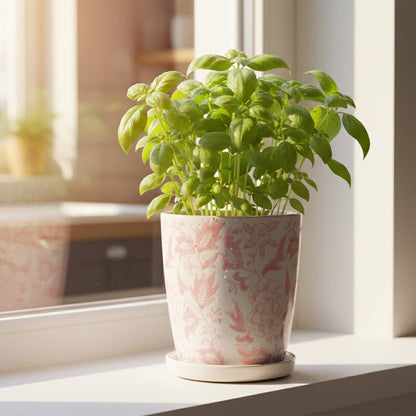 Ceramic planter with pink floral pattern with basil growing in it set on a window sill
