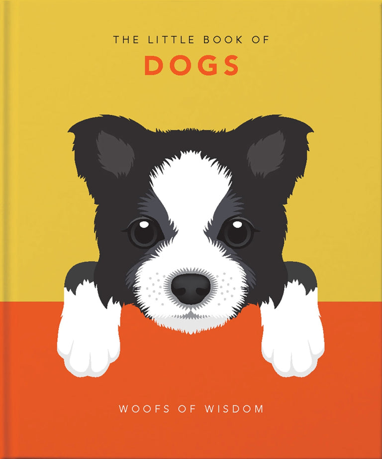 front cover of little dog book with graphic of a dog on it.