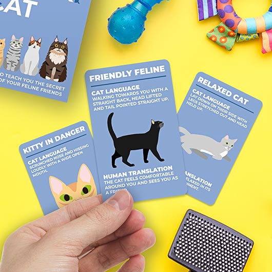 hand holding a how to speak cat card over a table arranged with other cards and cat toys.