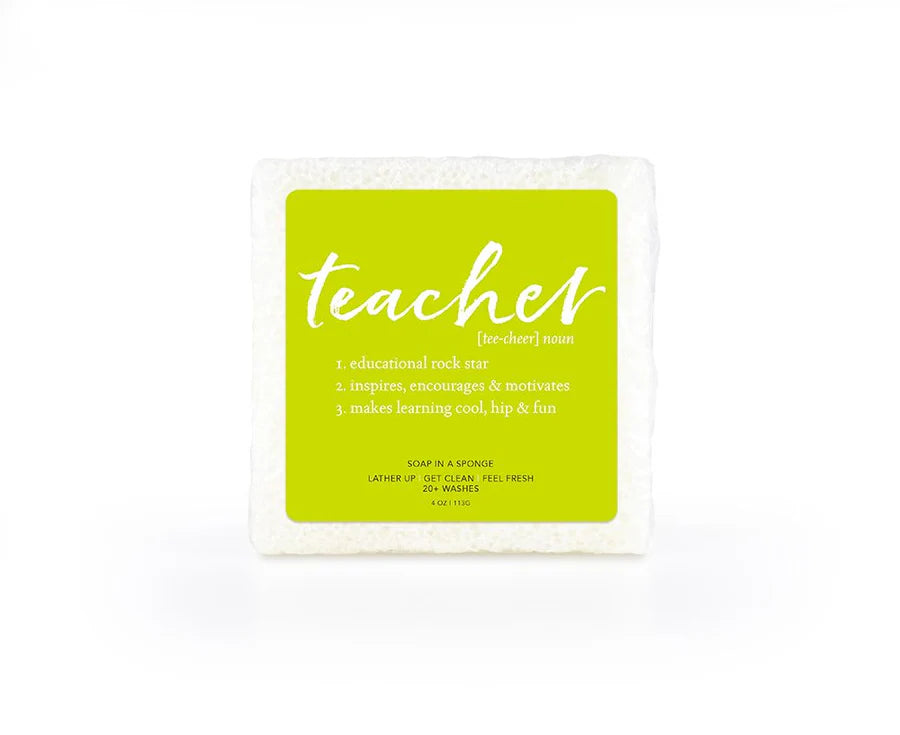 white square "teacher" sponge with a lime green label.