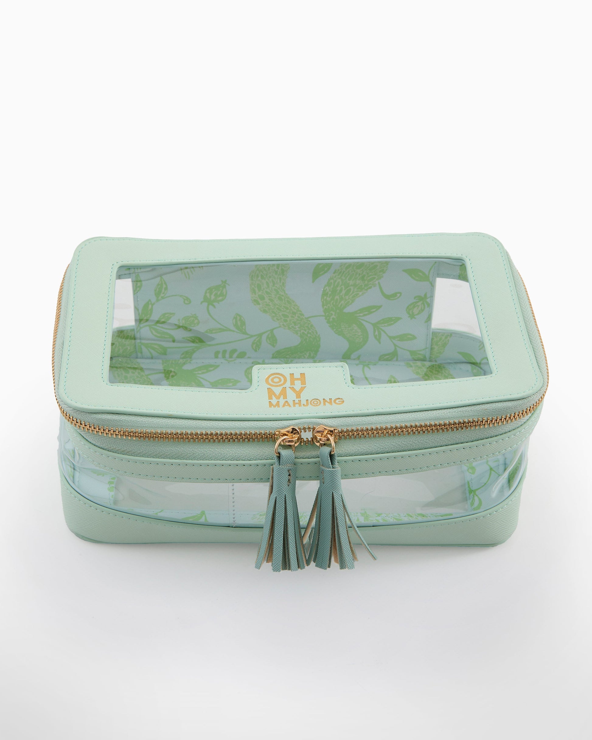 mint mt storage case closed