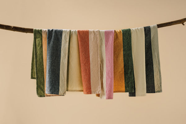 assorted Formation Dishtowels draped over a branch on a cream colored background.
