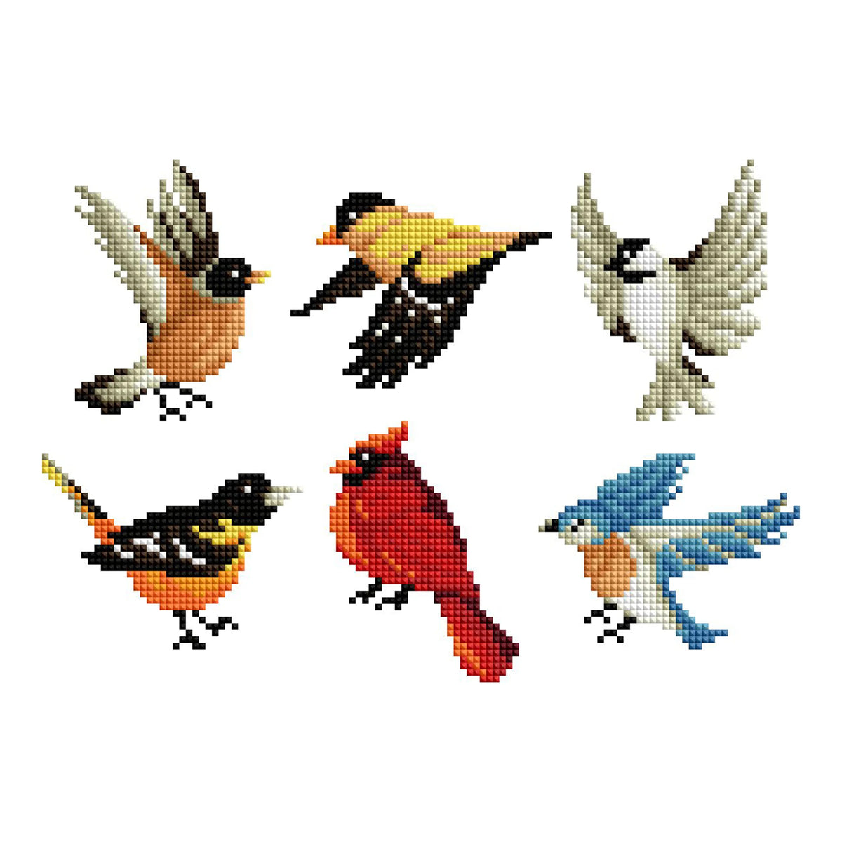 6 assorted bird images shown on a white background