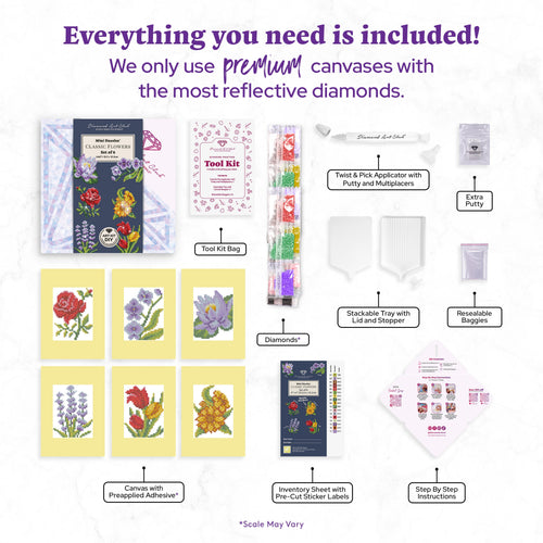 image of all the items included in the kit