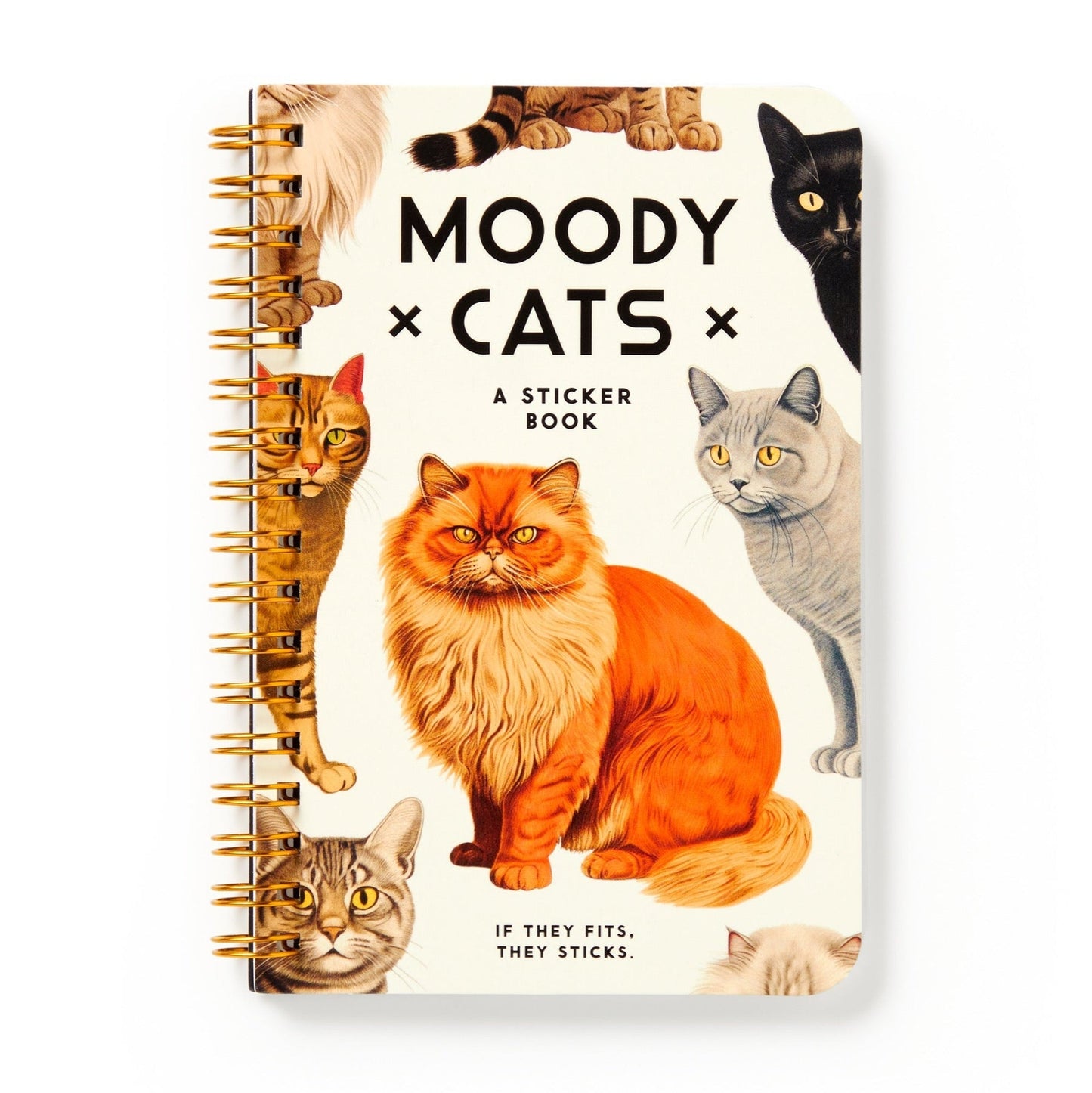 spiral book with moody faced cats and black title text on the cover