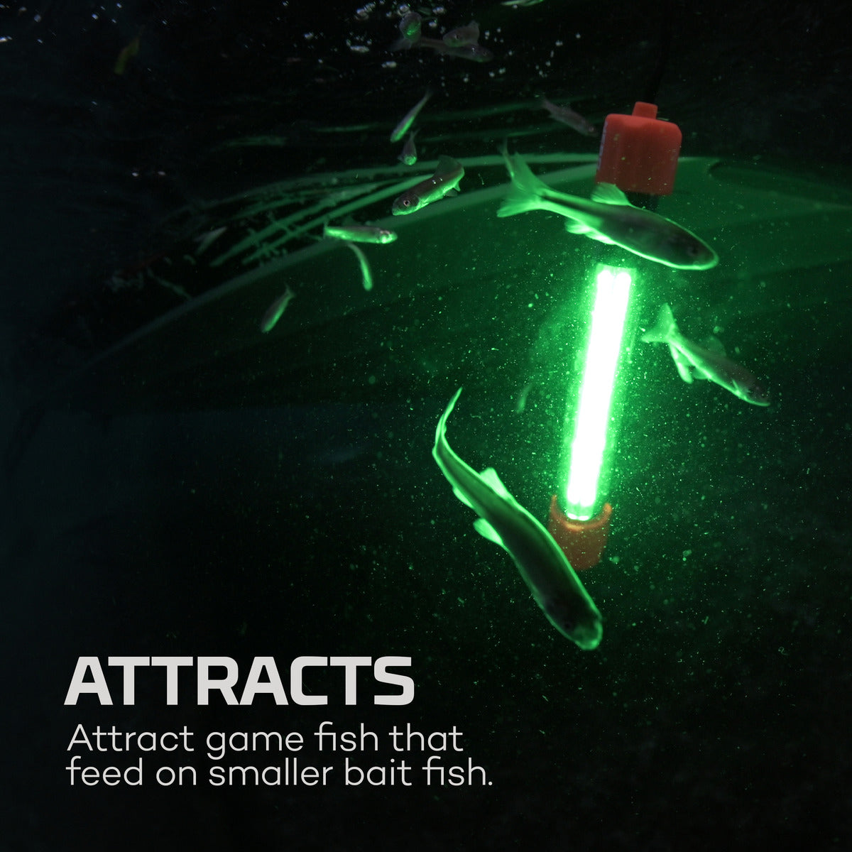 green light in the water with fish swimming around it