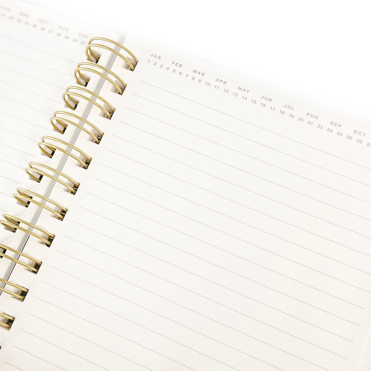 open notebook showing circlable date and lined pages