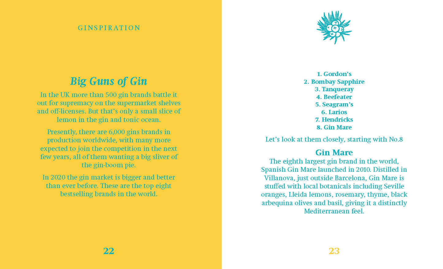 a set of pages from in the book are yellow and white with turquoise text