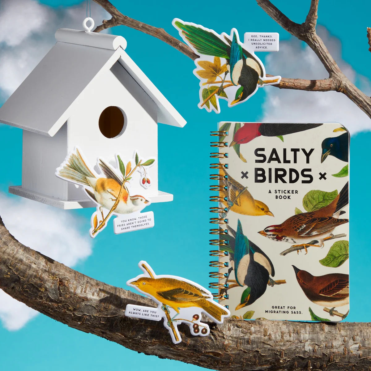 Birdhouse, bird stickers, and 'Salty Birds' sticker book on a branch with blue sky background