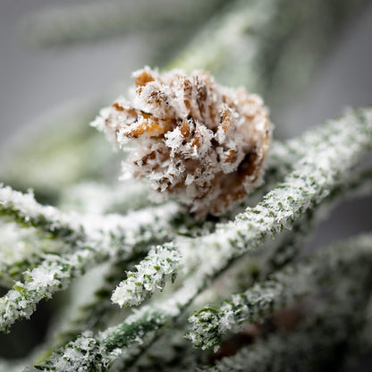 close up view of a pinecone on the full snowy pine swag
