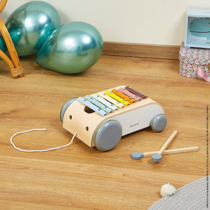 Sweet Cocoon Xylo Roller on a wooden floor with other toys in the background.