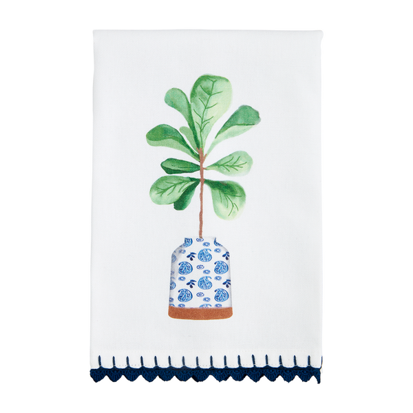 fig leaf potted plant towel on a white background.