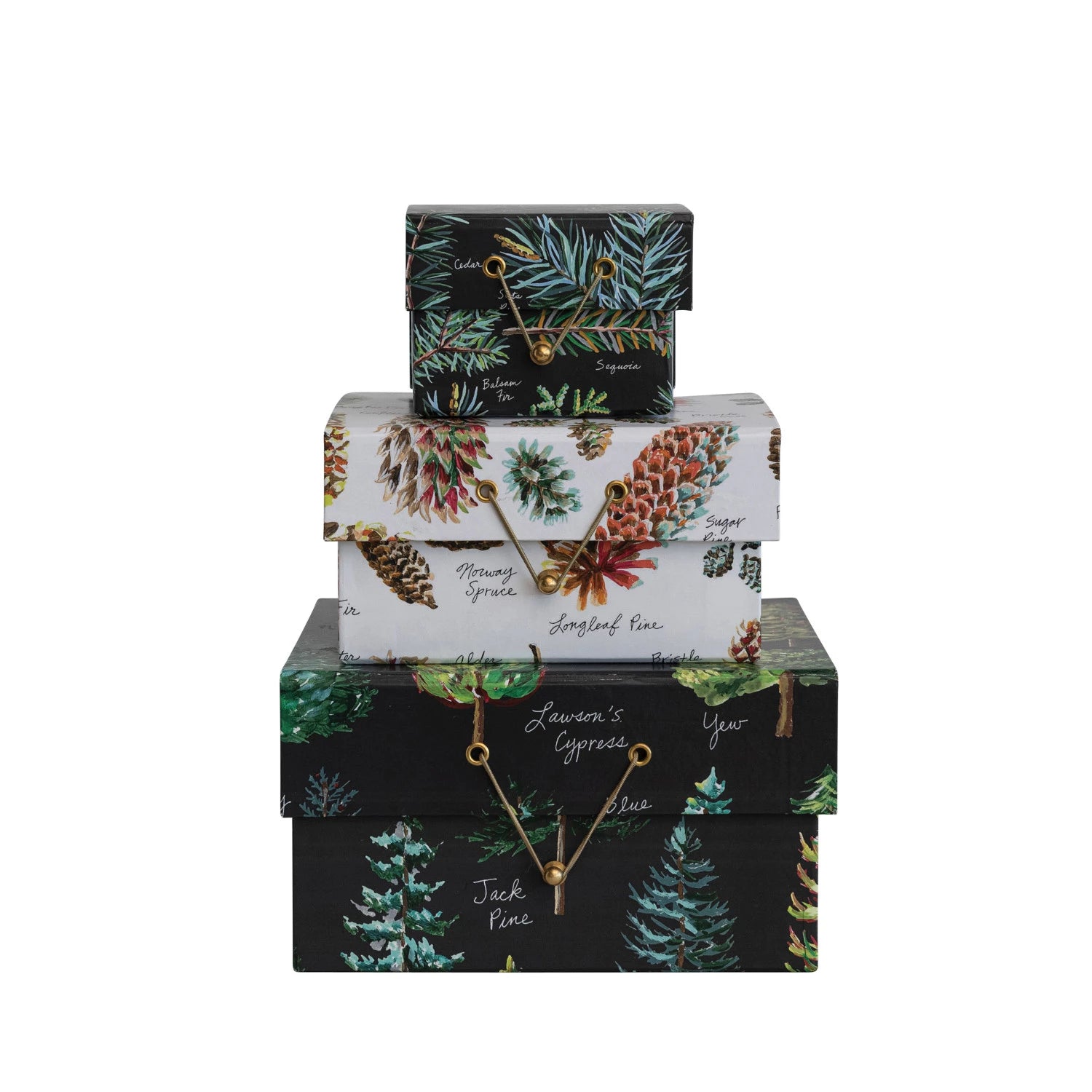 all three sizes of evergreen botanical paper gift boxes stacked against a white background