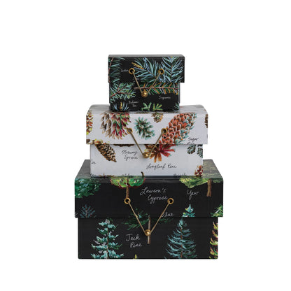 all three sizes of evergreen botanical paper gift boxes stacked against a white background