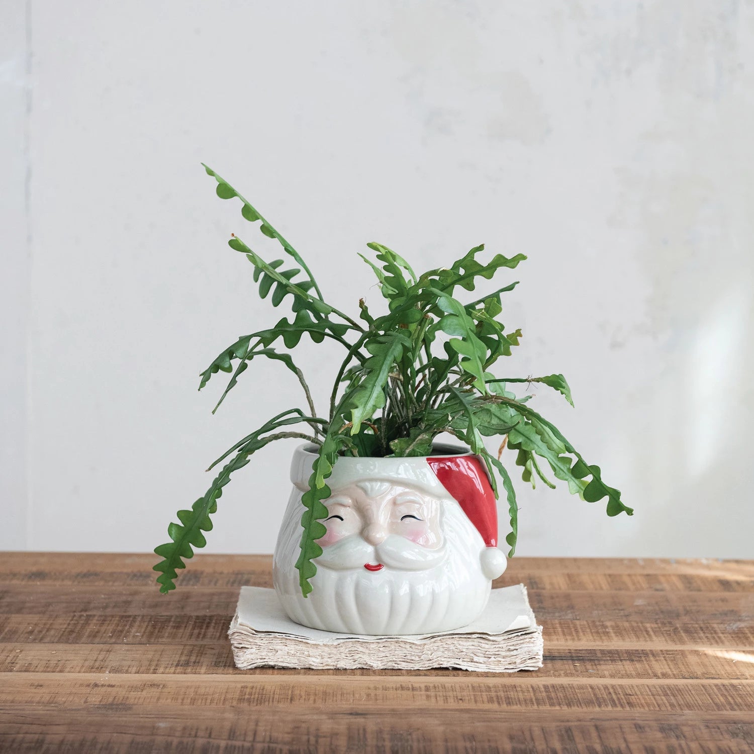 Santa Planter filled with a plant and set on a book