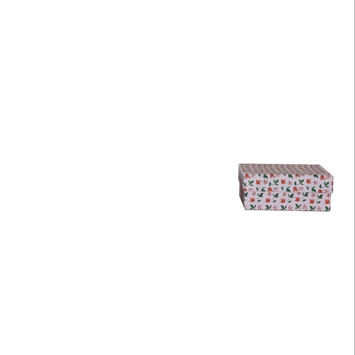 largest pink gift box with red and green botanical designs